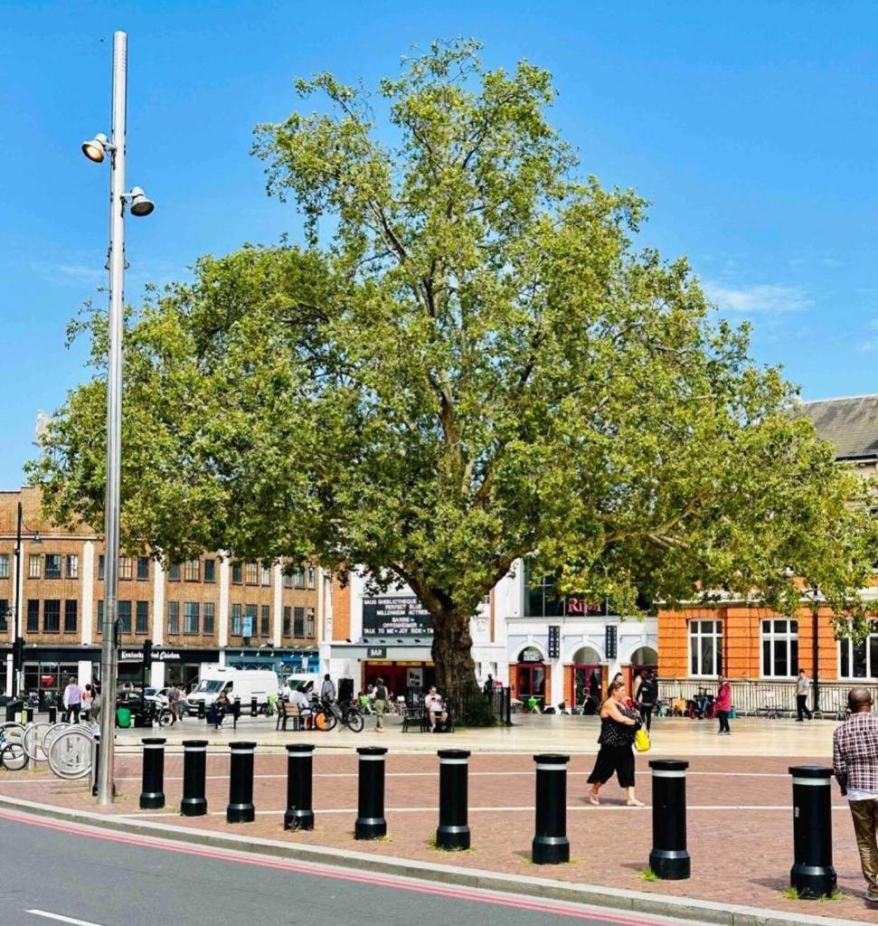 Stylish 2 Bedrooms Flat Sleeps 6 & Garden London Zone 2 Cls Central מראה חיצוני תמונה